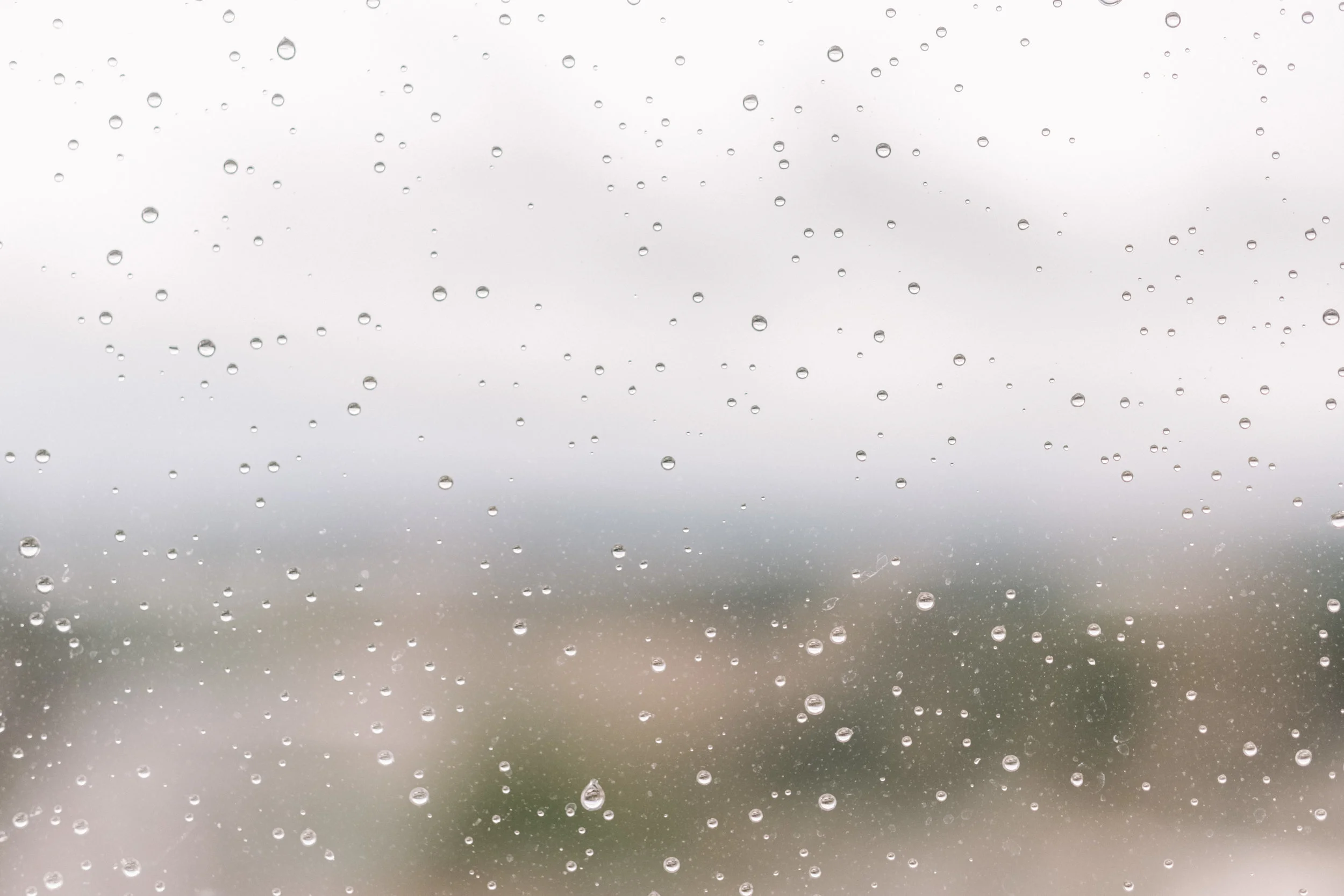 COMPRESSED_GRADUATE-SEATTLE_CORDWELL_2019-9029.JPG