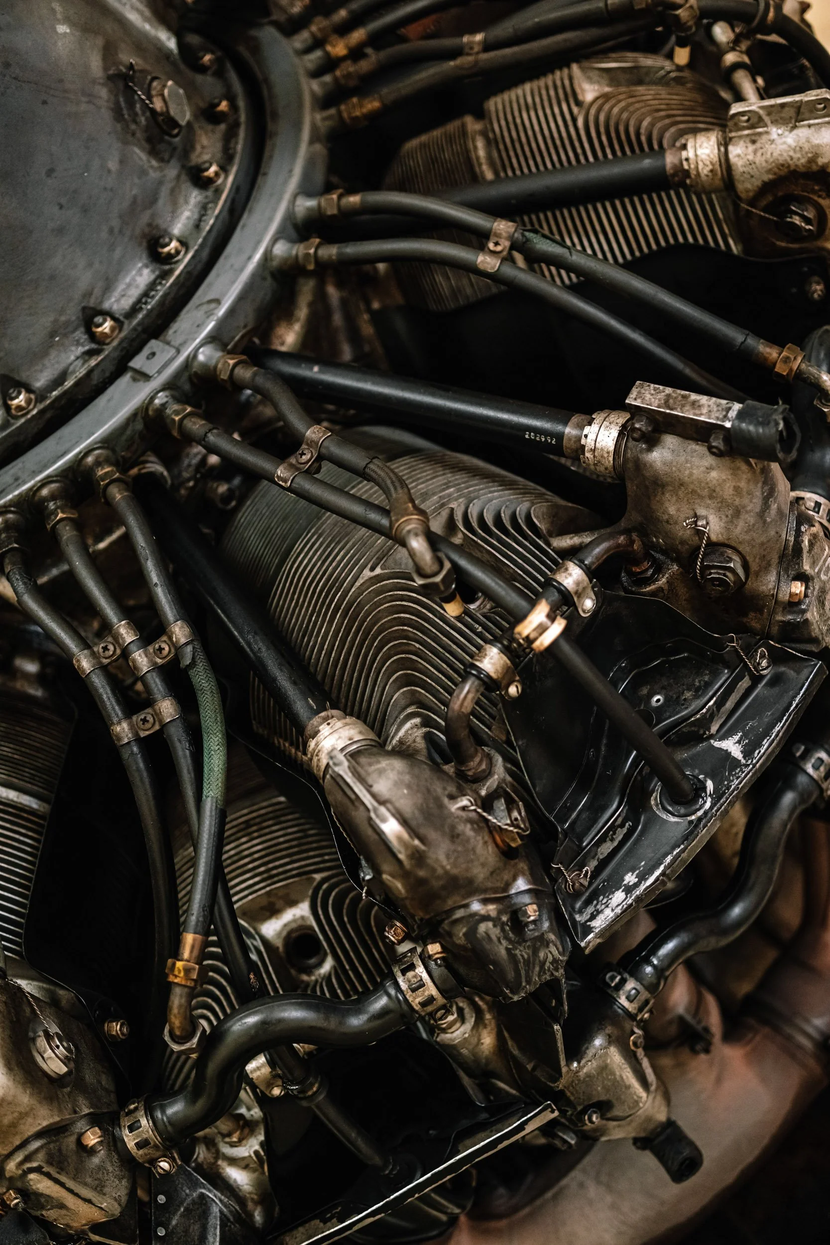 1_CAF-MUSEUM_AFAR_SCOTTSDALE_2019-6162.JPG