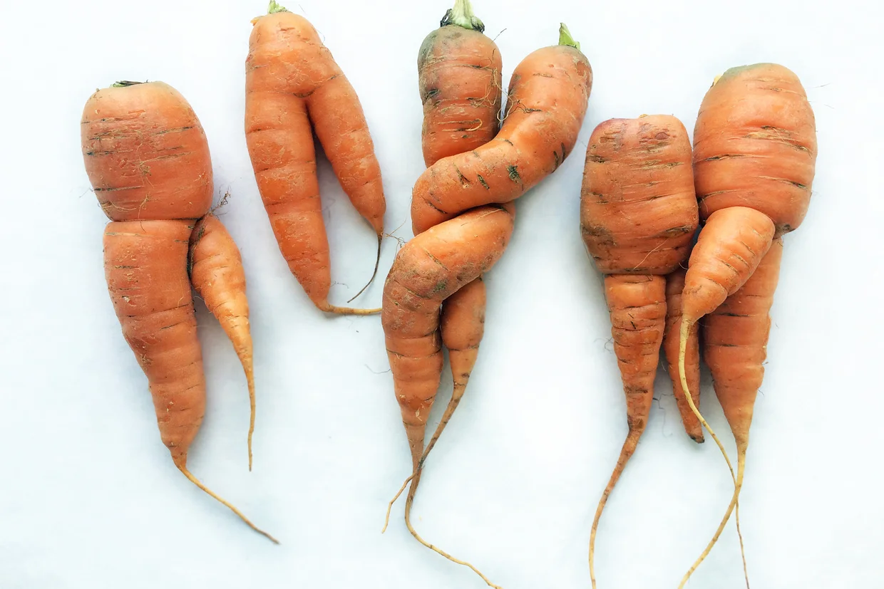 foodwaste_ shutterstock_432152062.jpg