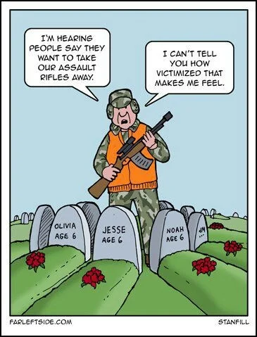 f804f2f87a1dc0c372d5a8d8debc86b4--assault-rifle-gun-control.jpg