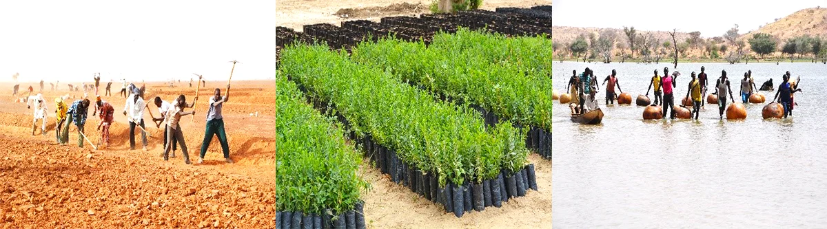 agriculture élevage 3n.jpg