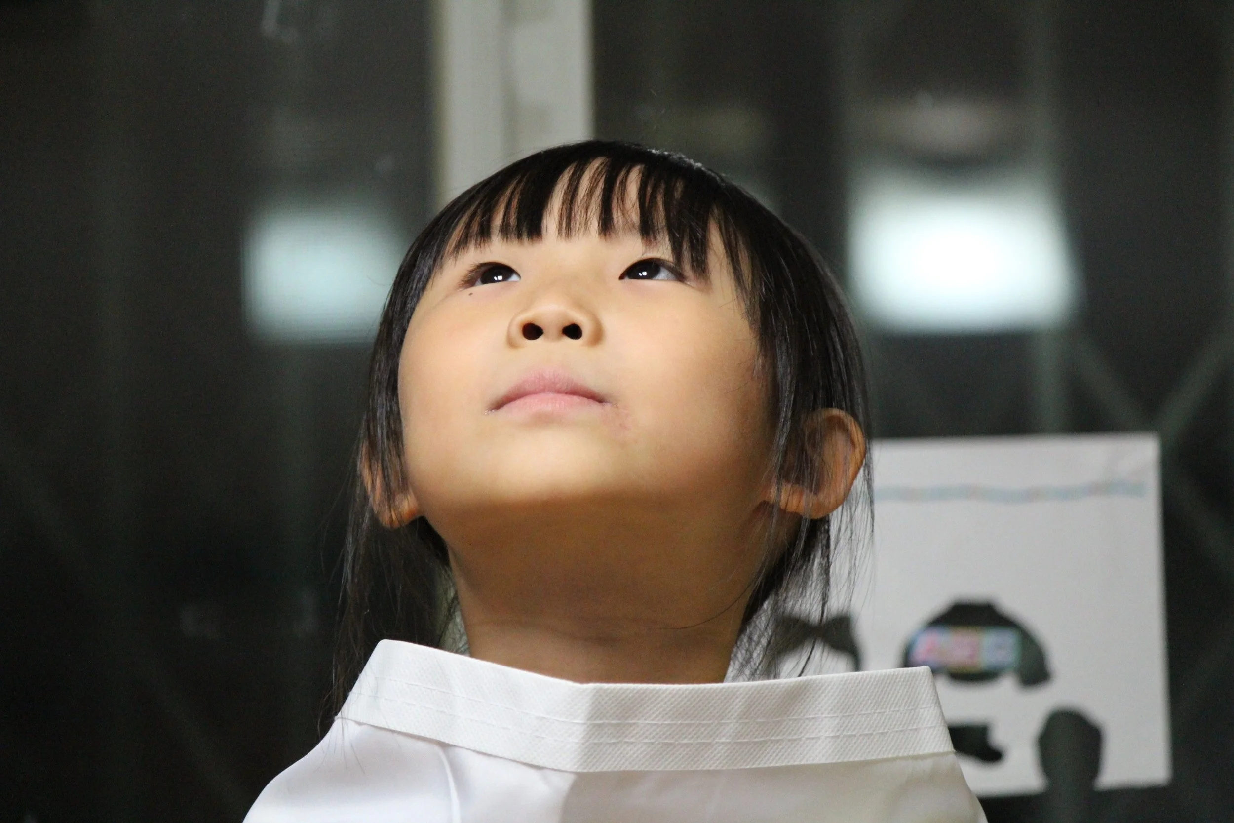 asian-child-curious-48124.jpg