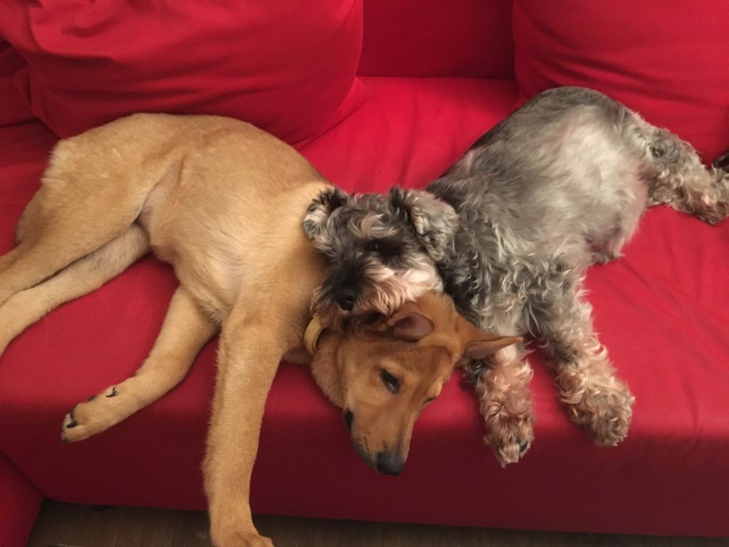 Objectively though-how cute are they?!