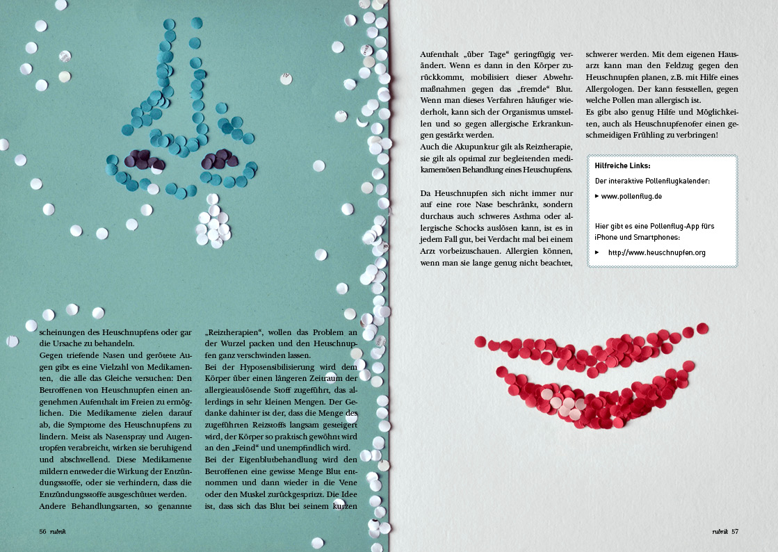 BKK vor Ort_Orange_01-2013_Heuschnupfen_druck2.jpg