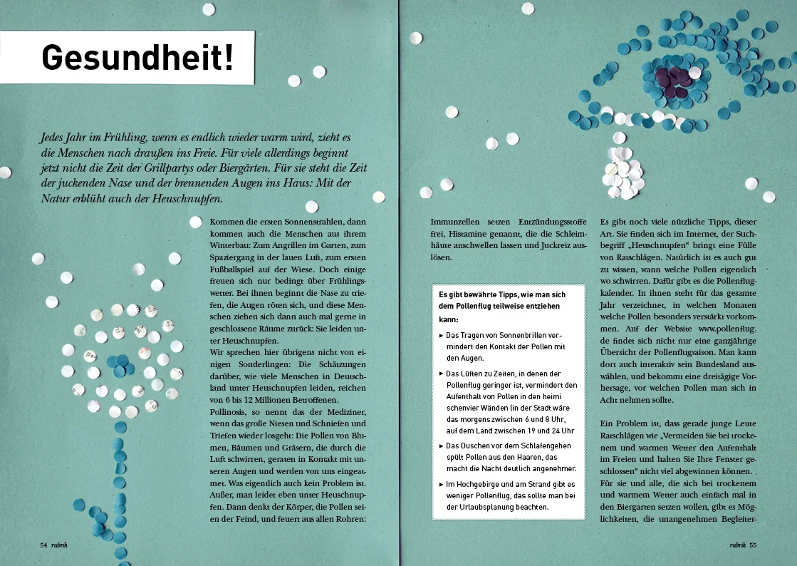 BKK vor Ort_Orange_01-2013_Heuschnupfen_druck.jpg