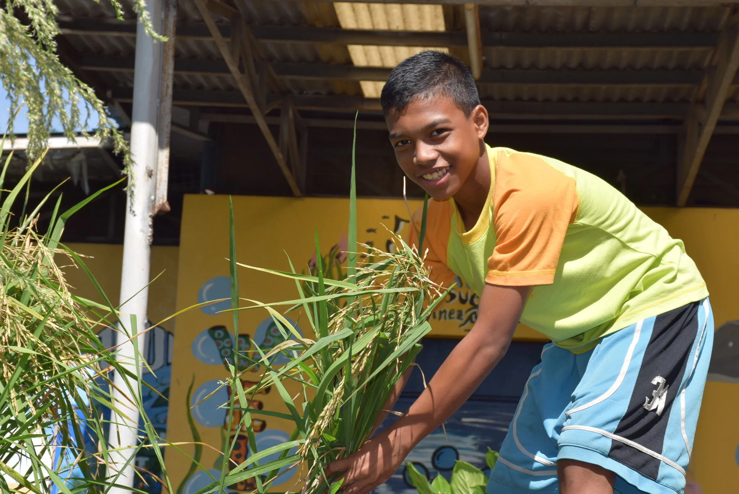 Tuloy’s Vision for Aquaponics is pretty much the vision we have for our Street children Village. Resiliet. Flexible. Innovative. Sustainable. Orderly. Harmonious. Efficient. Respectful. Collaborative. Productive. Meaningful. Difficult but joyfully exciting beaming with positive expectations. Our kids because they have already ‘survived’ are truly exceptional. We now have with much much patience have to nurture them to their full potential.