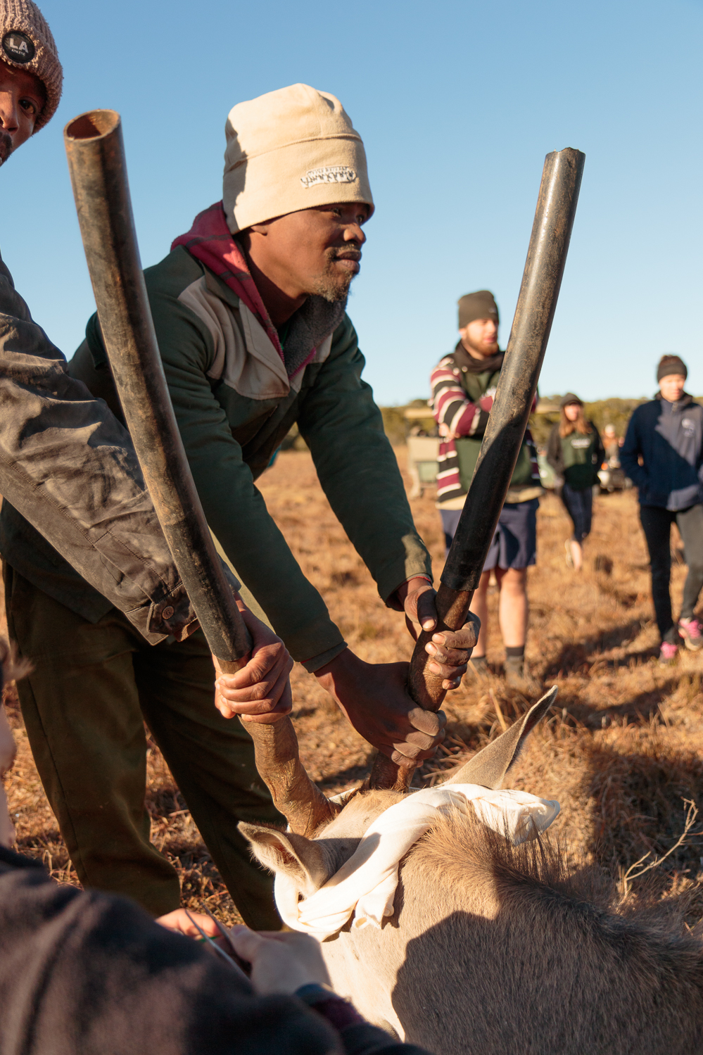 Eland Procedure with Dr Fowlds-3.jpg
