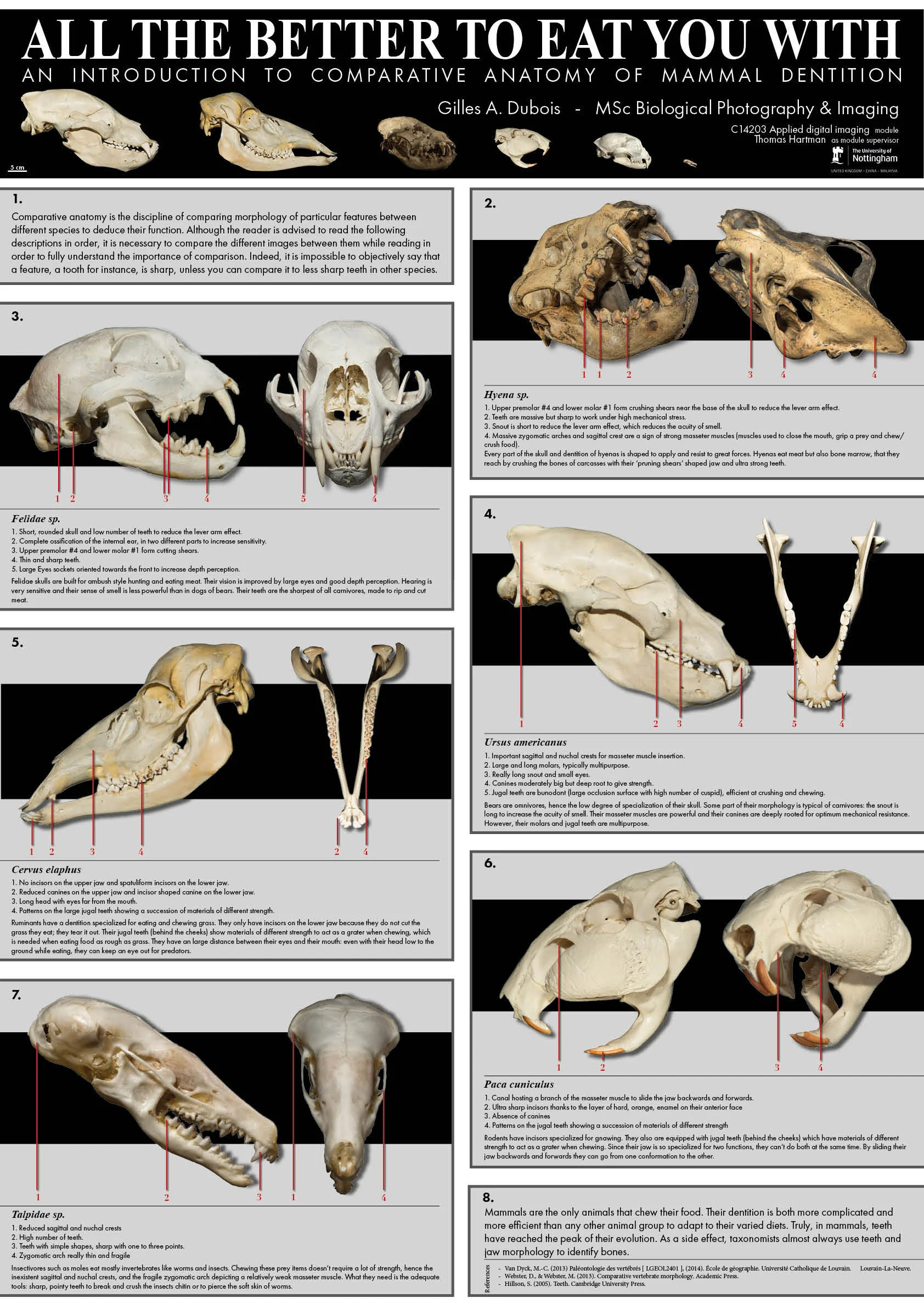 GillesDubois_ResearchPosterforWeb.jpg