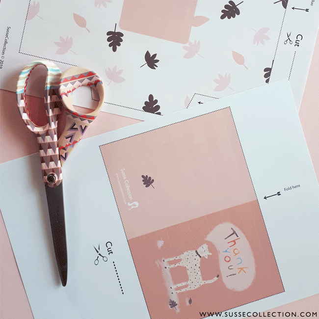 Newsletter-Susse-Collection.gif