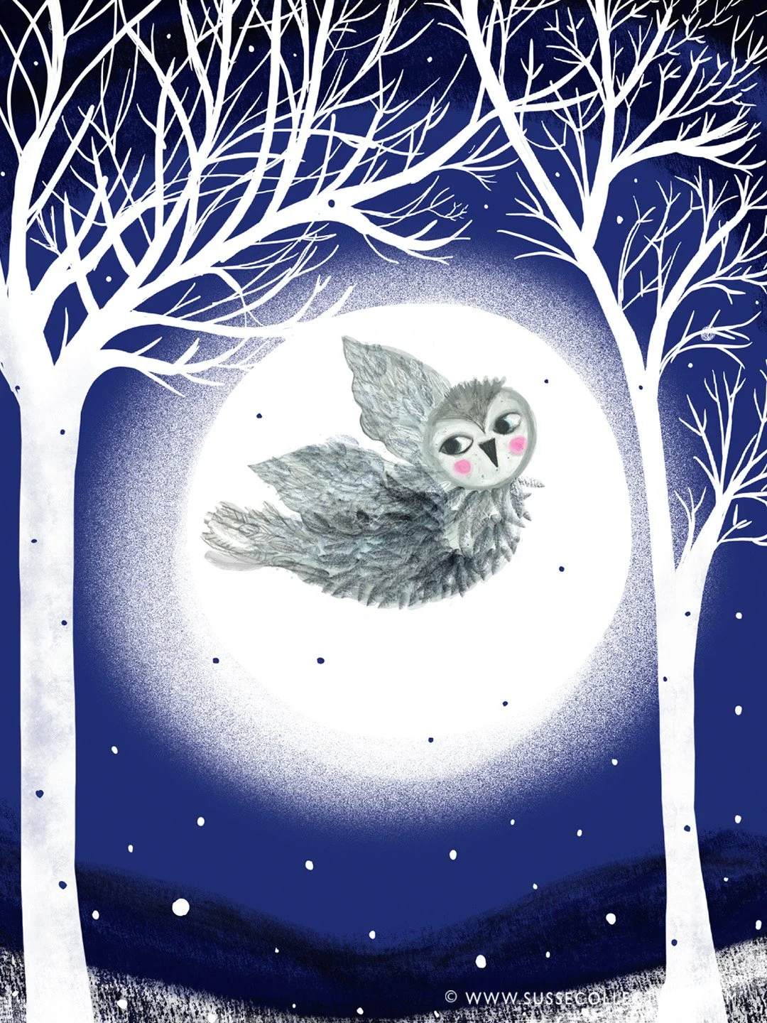 Day 8 of Jehane’s Twelve days of Christmas - “ A Tawny Owl”