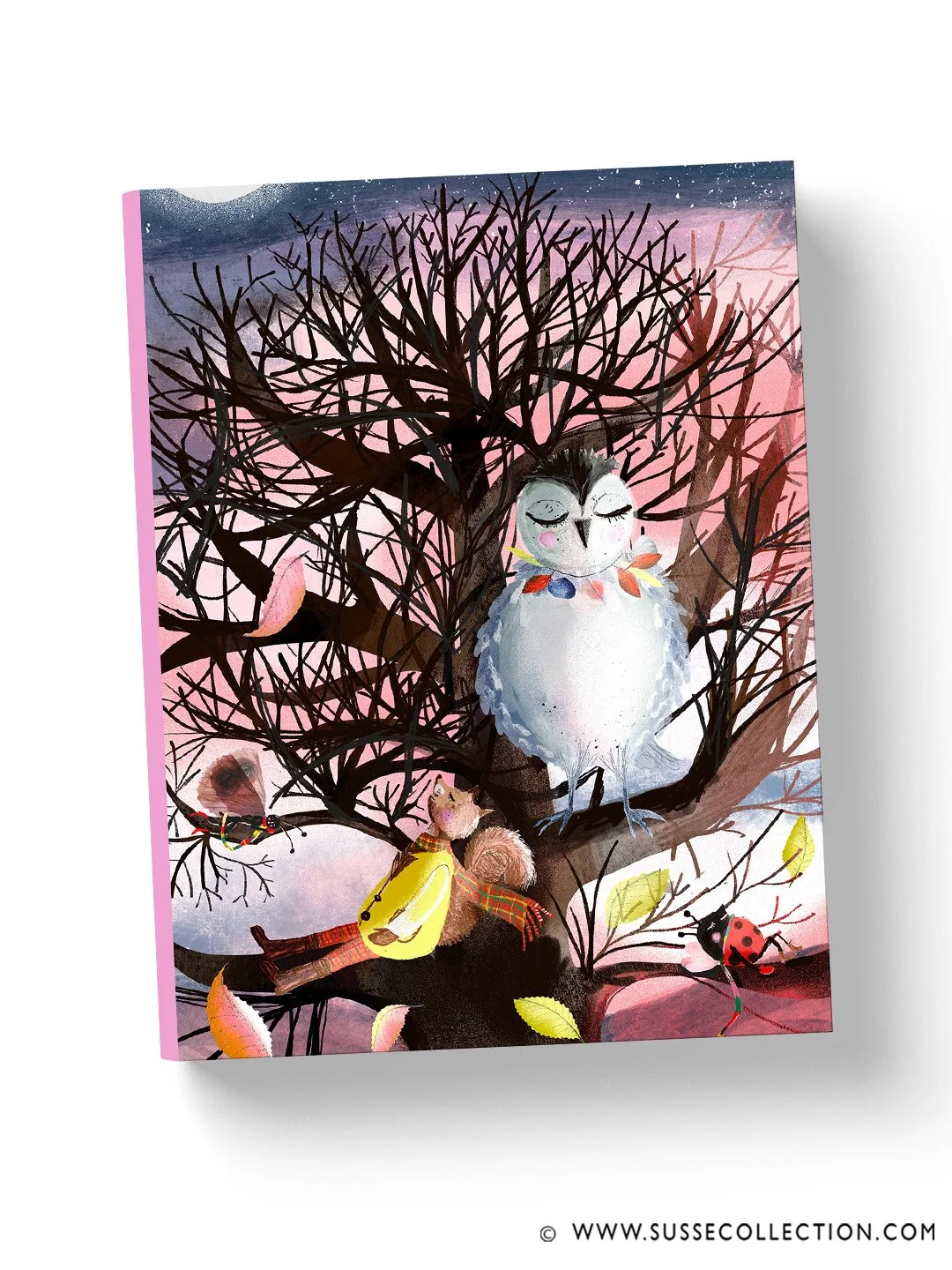 A photograph of a book cover of an illustration of an owl,squirrel,moth,and ladybug by Susse LInton