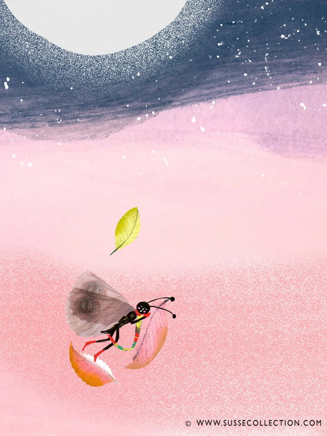 A photograph of a book cover of an illustration of a sleeping moth, by Susse Linton