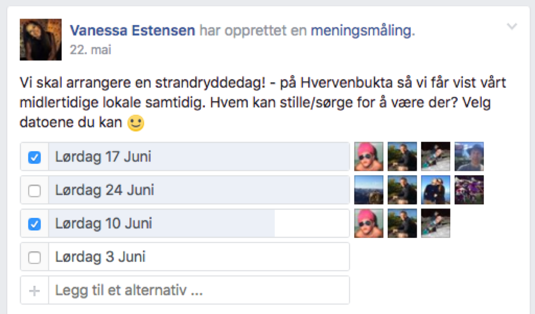 Avstemminger i styregruppen