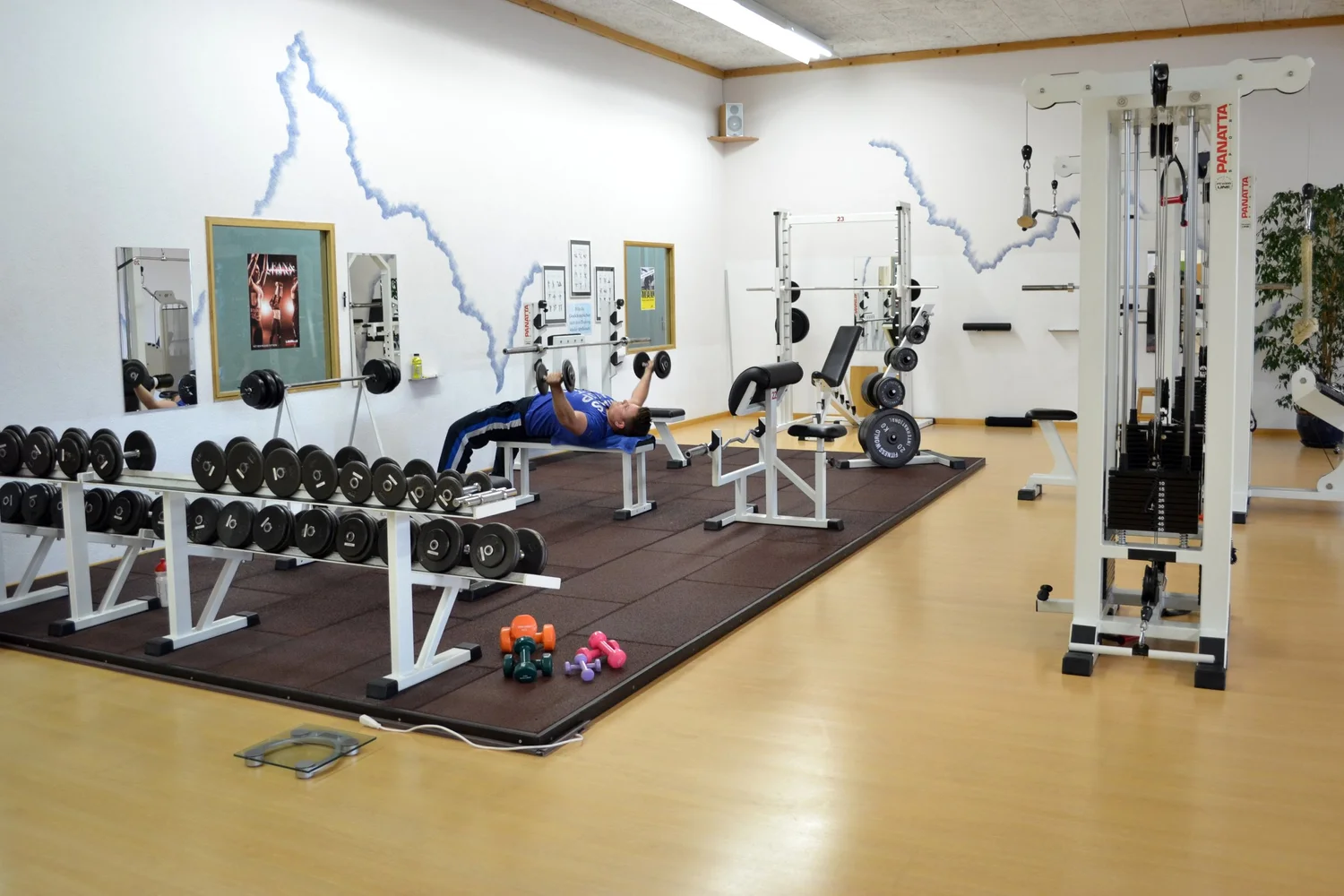 Freihantelbereich mit Kurzhantelablage und Bänken im Trainingsraum in Flawil