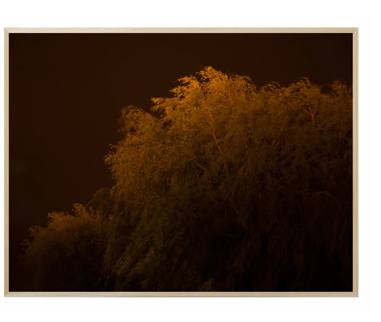 Exposed-Diffused-Naturellijst.jpg