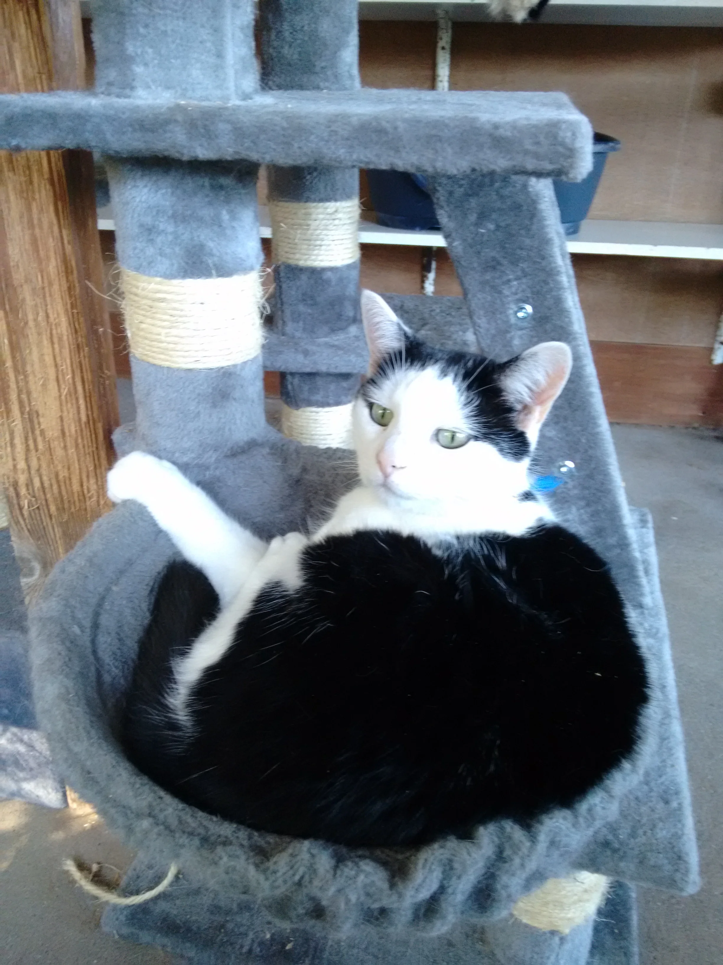 coco 010106 2.jpg