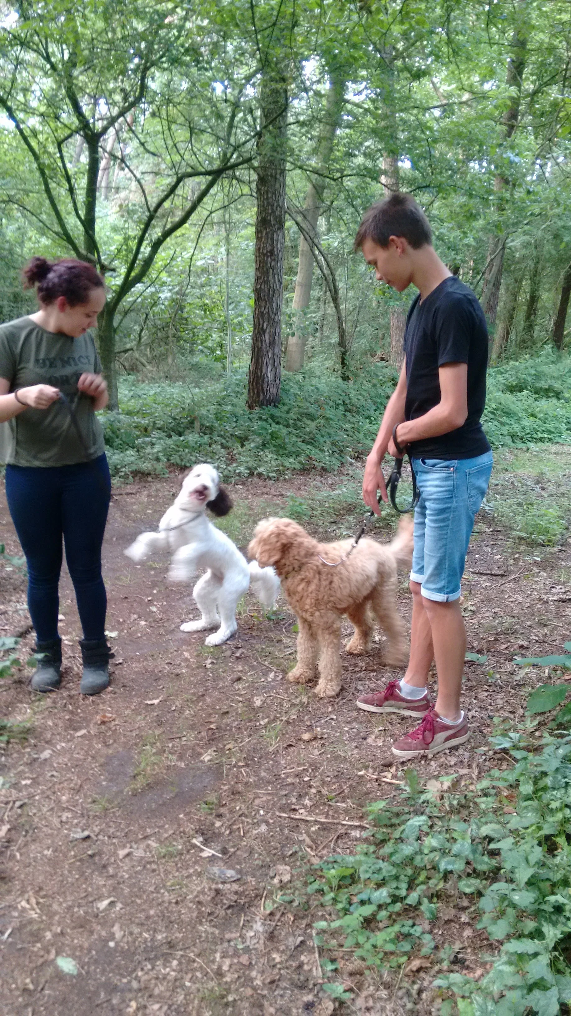 Agnes' dierenpension