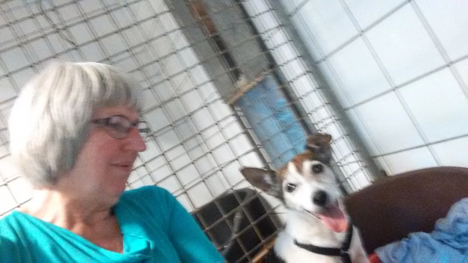 Agnes' dierenpension