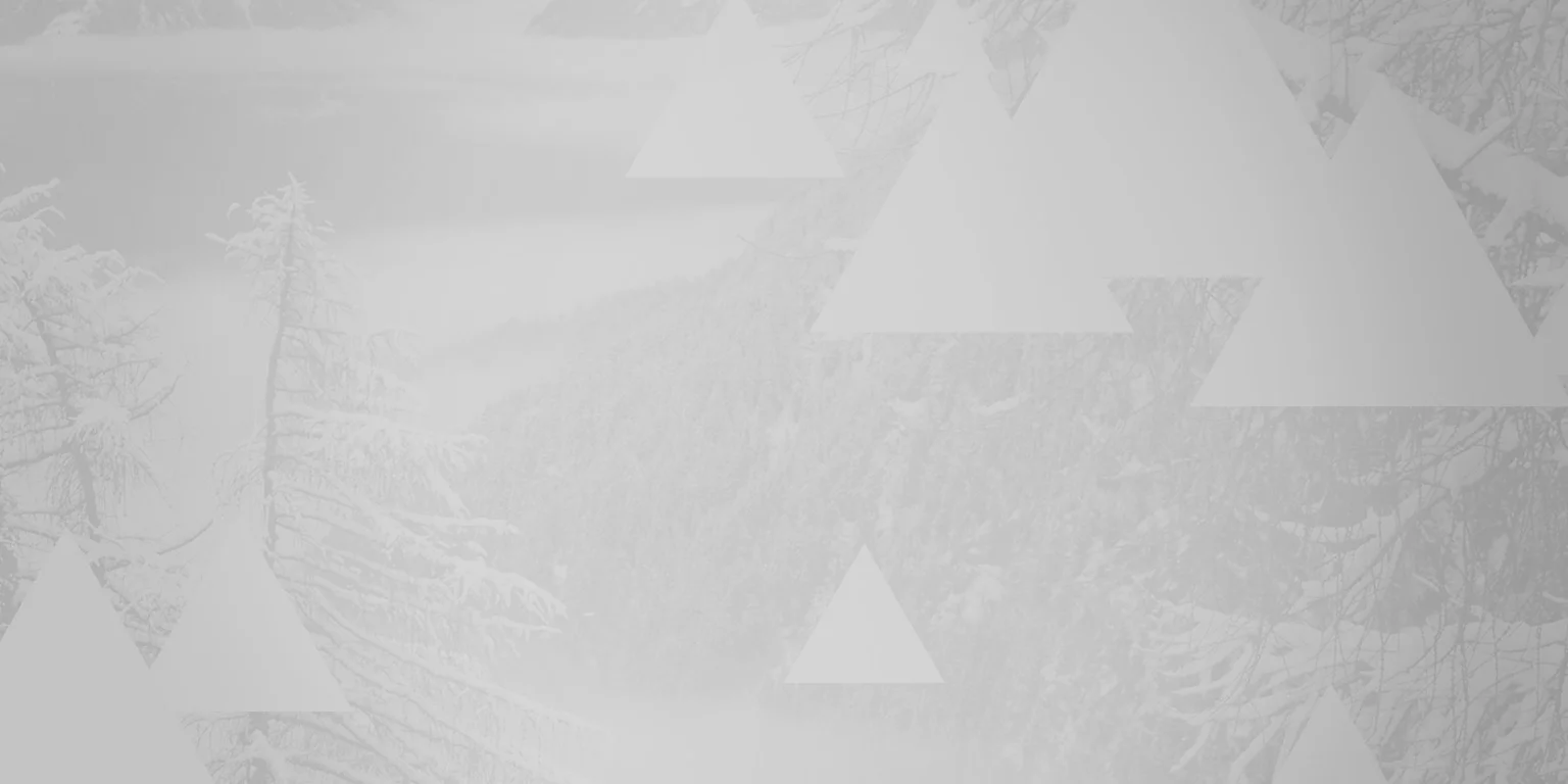 Pic_Triangles_white.jpg