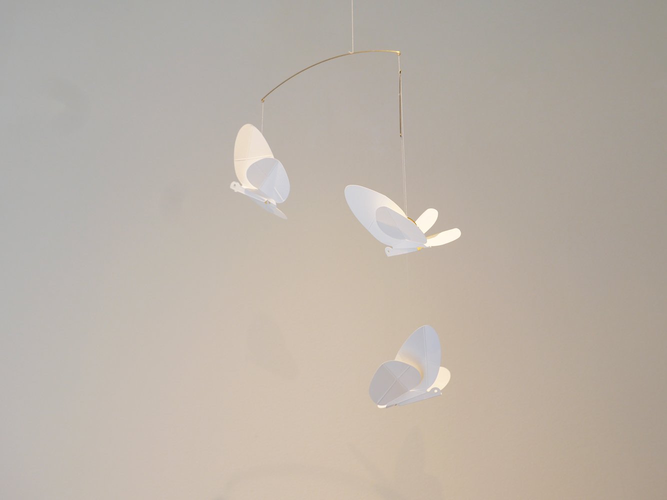 P1088836.jpg