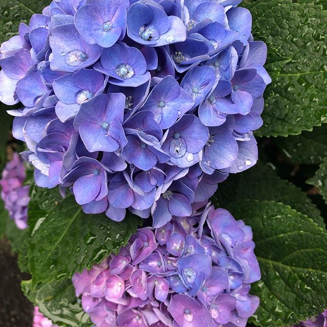 &ldquo;More you judge people, less time we have to love others&rdquo; - Mother Teresa .
.
.
#quoteoftheday #nonjudgemental #selfreminder