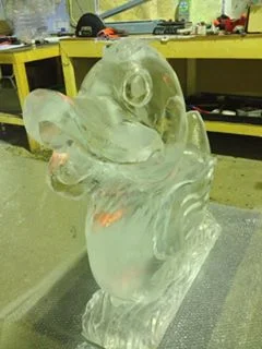 RUBBER DUCK ICE VODKA LUGE