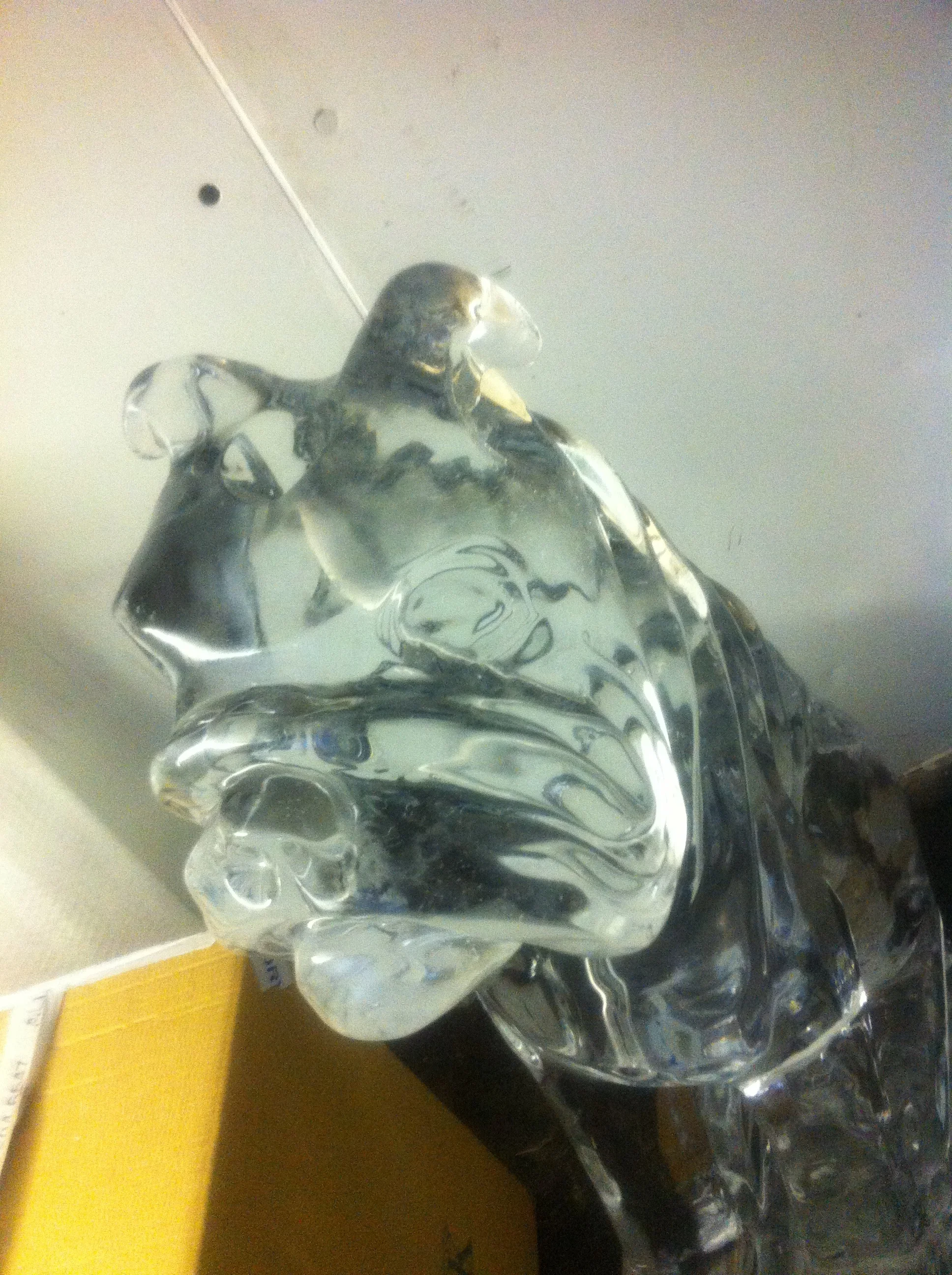 DOG ICE VODKA LUGE