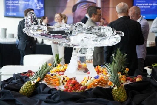 Plane Ice Sculpture