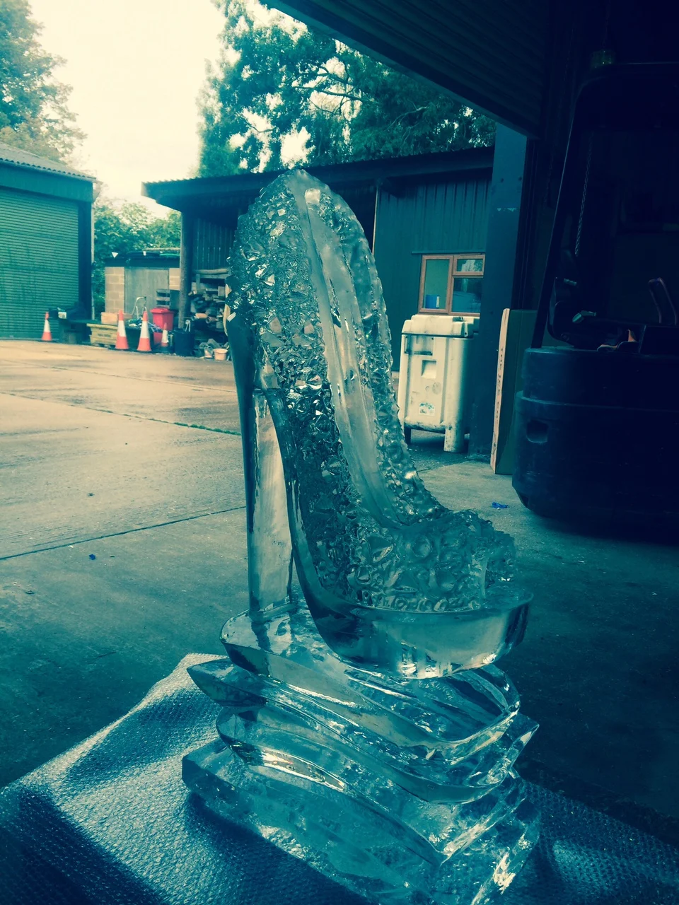 Wedding Shoe Ice Sculpture