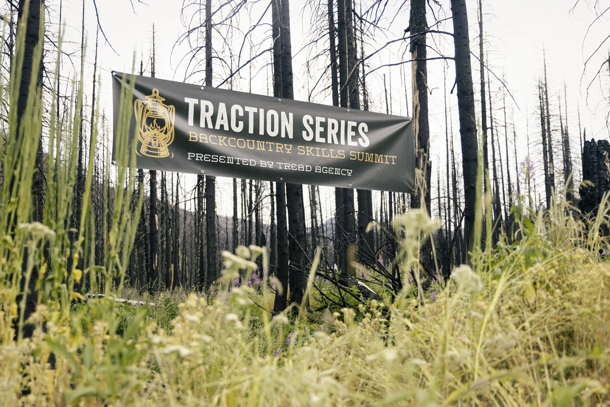 Backcountry_Banner.jpg