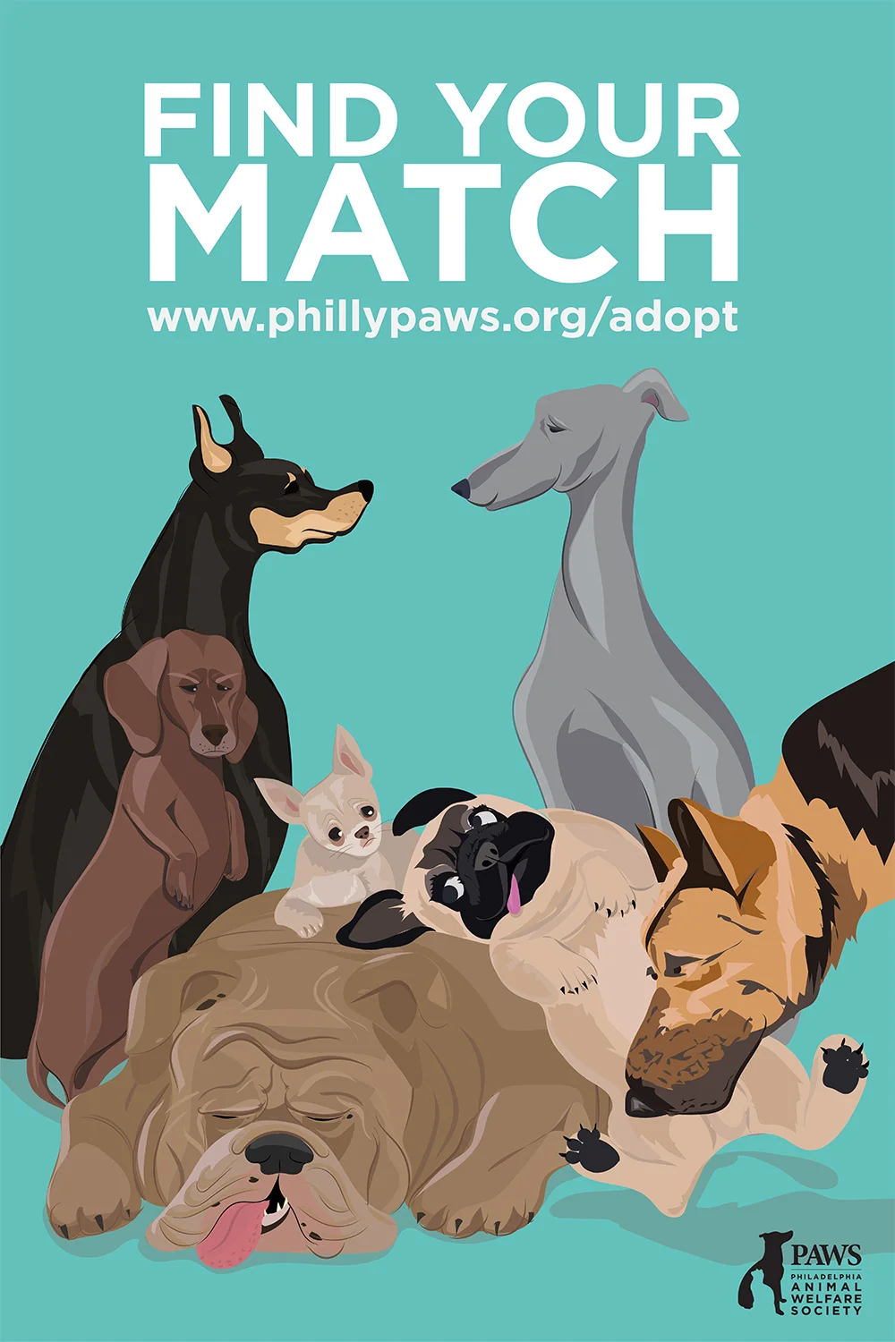 Find Your Match: Dog Personalities