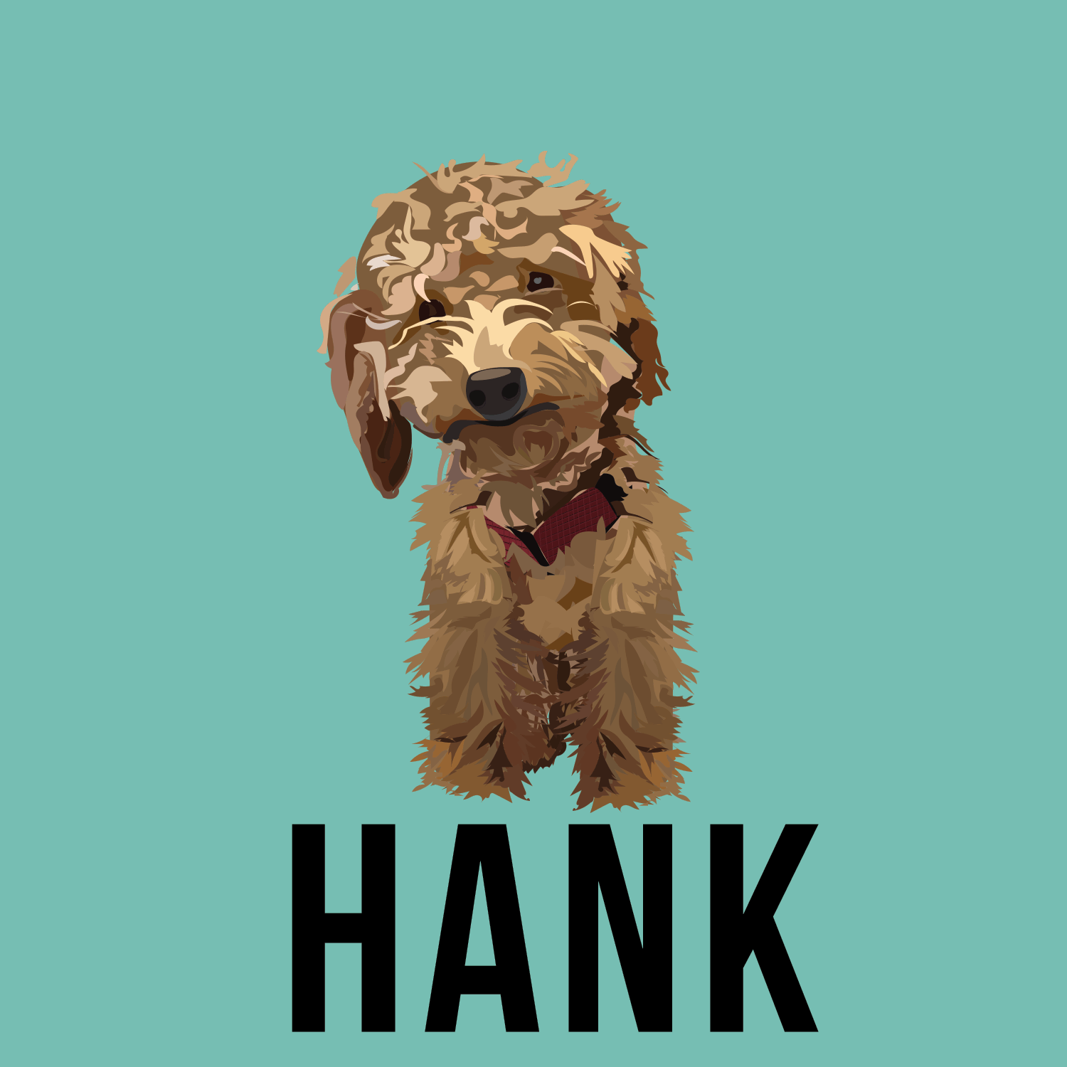 hank-camera.gif