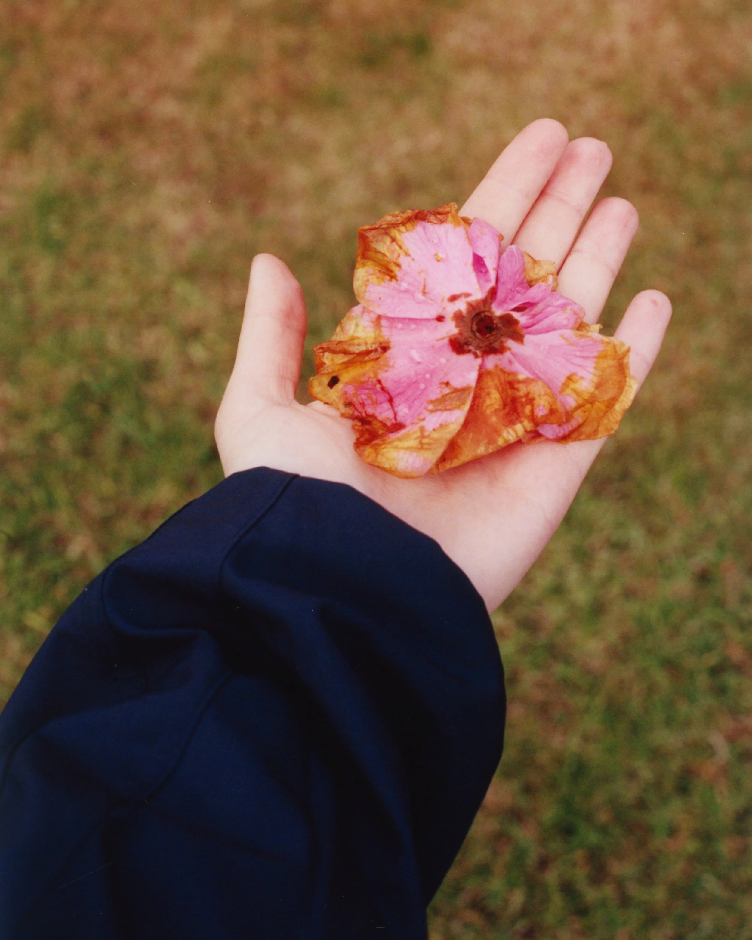 MH_CONTACTS (6)-Edit.jpg