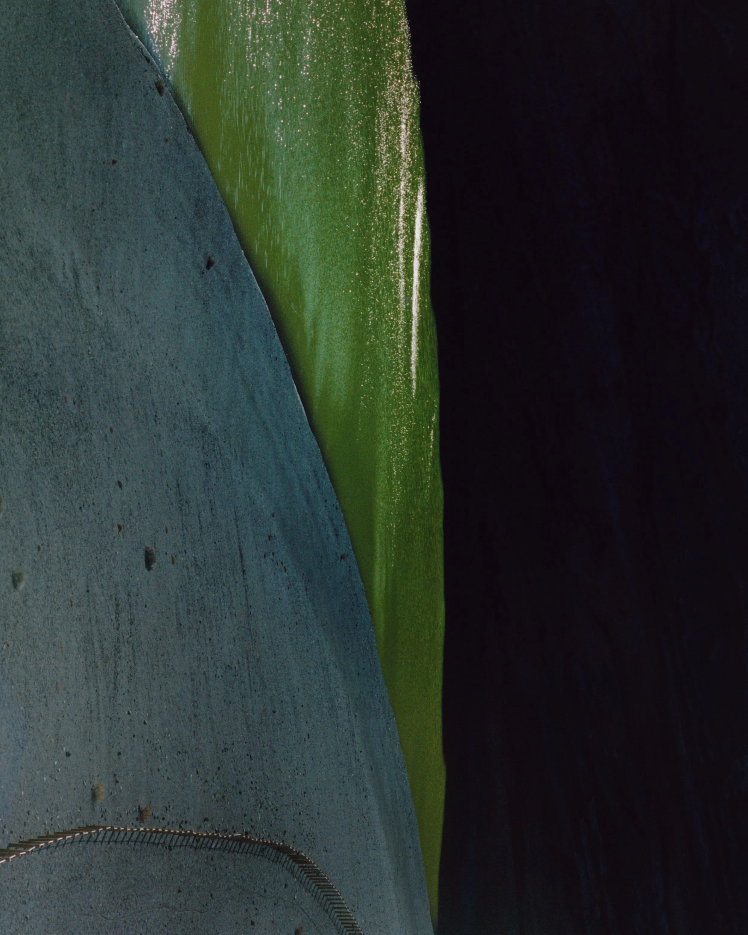 LIV_JANK_PRINT (3) CROPPED.jpg