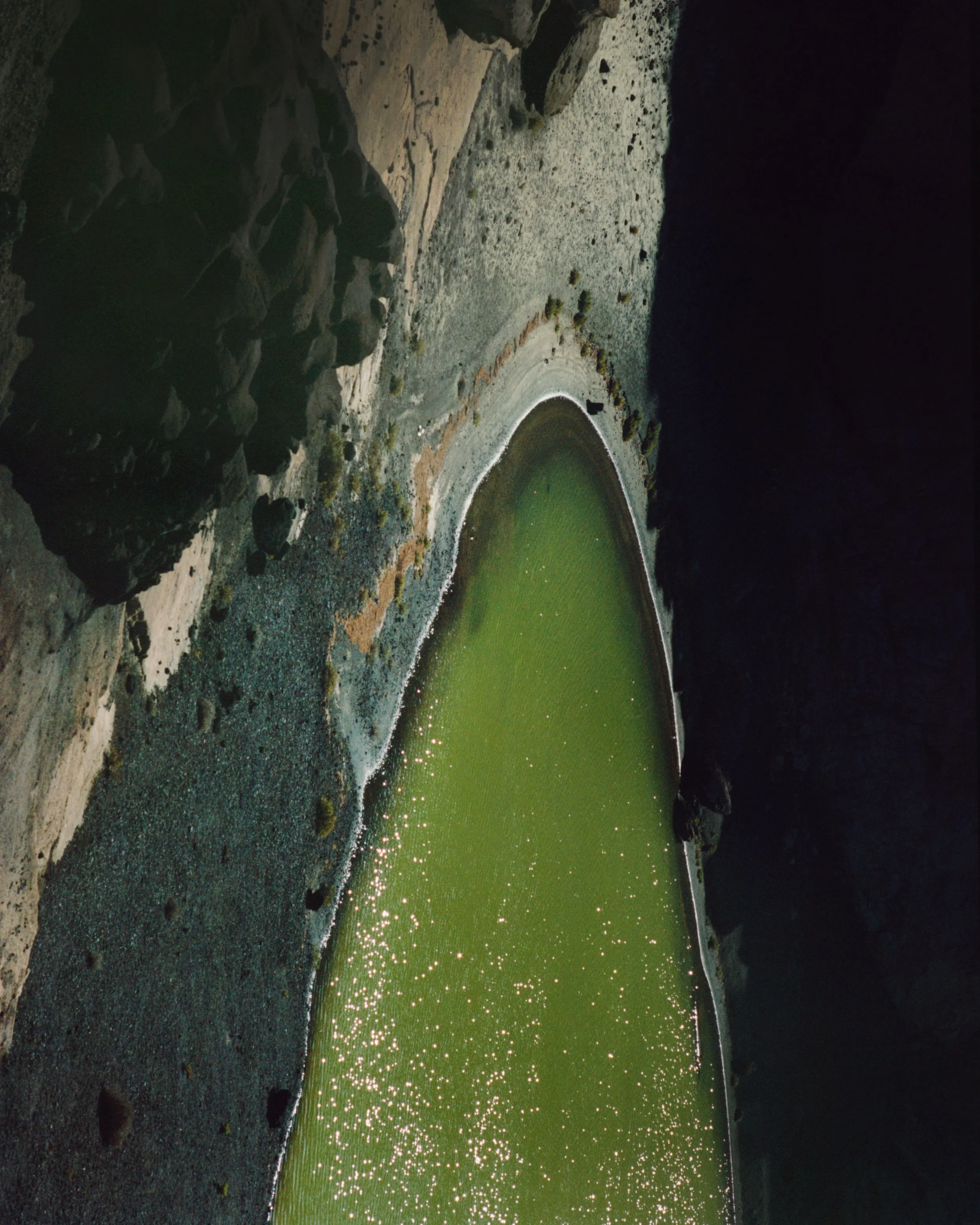 LIV_JANK_PRINT CROPPED.jpg