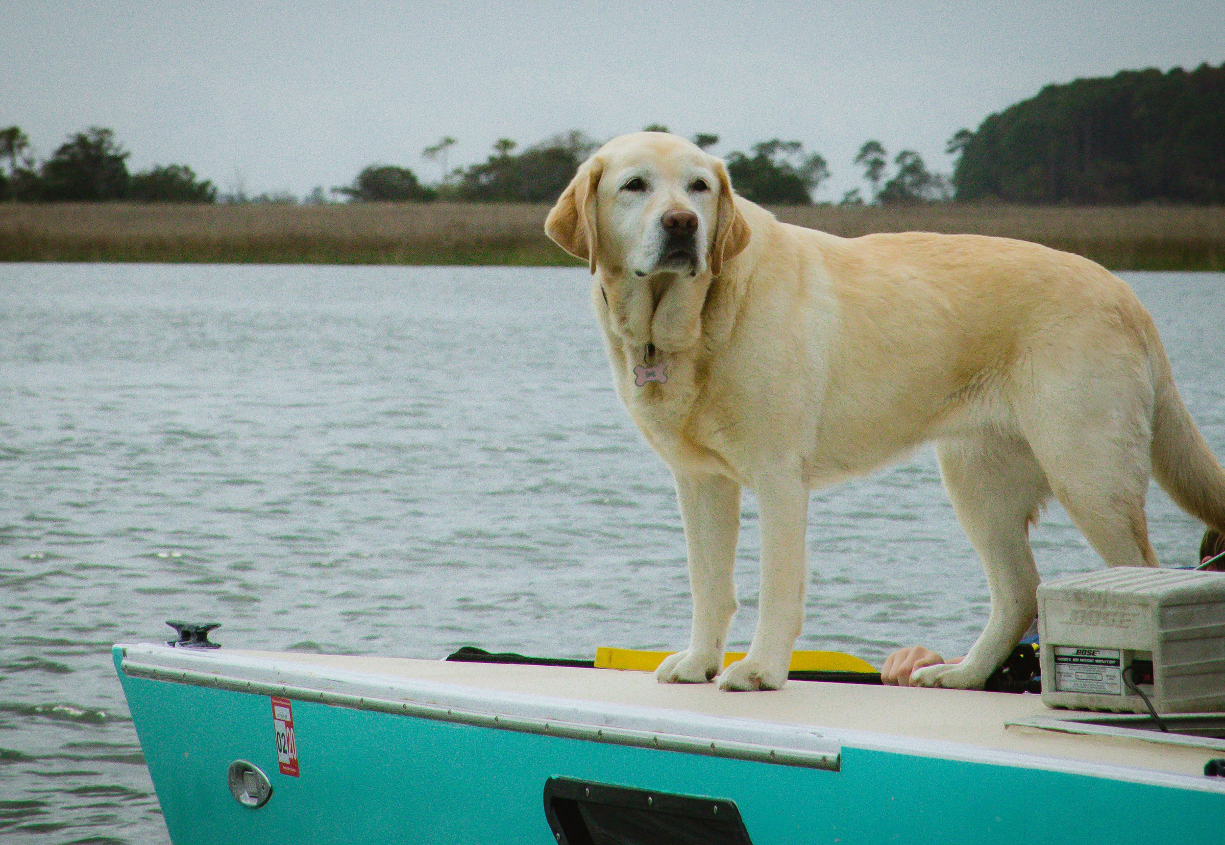 Family_Catamaran_8864.jpg