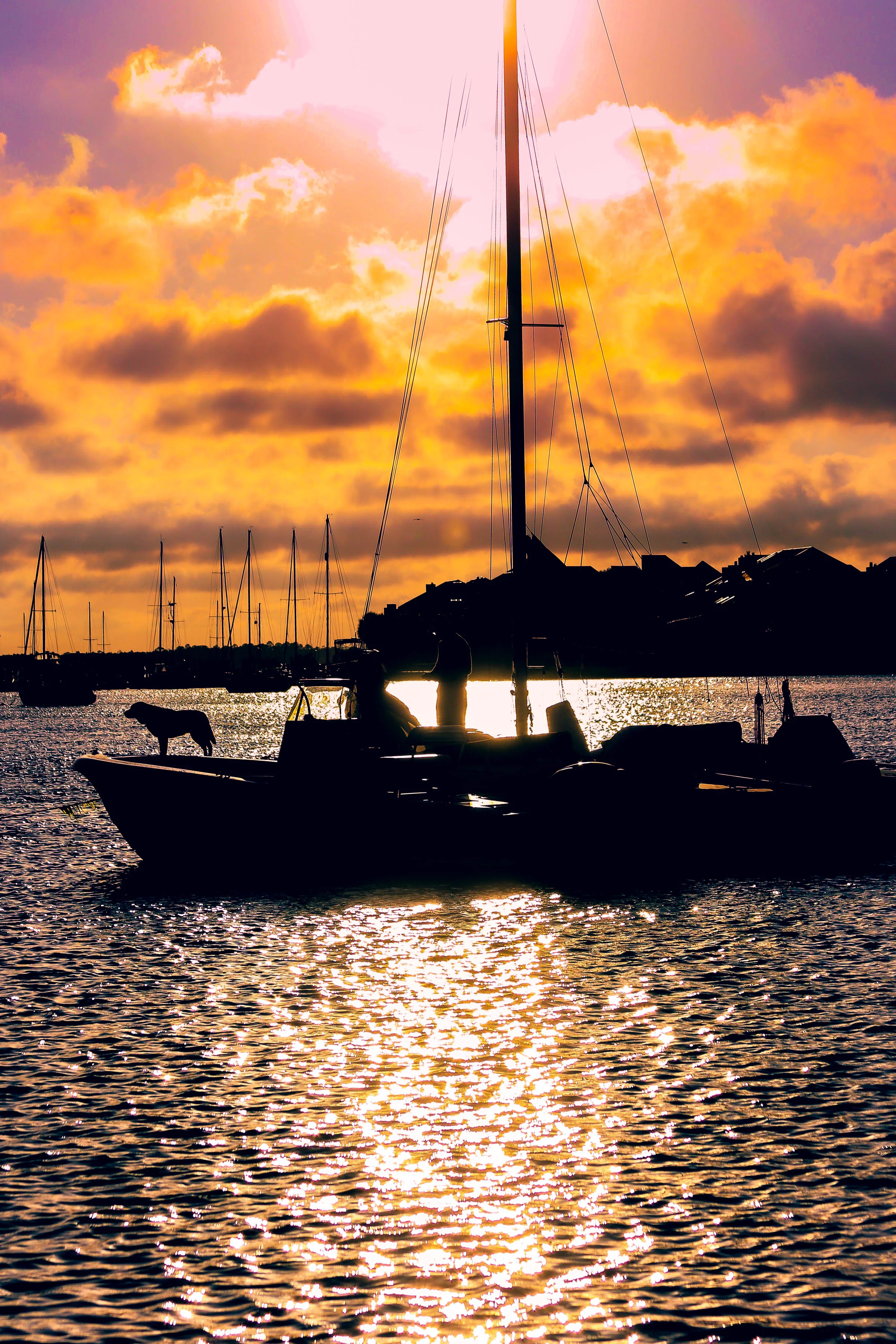 Summer_Family_Sails_1489.jpg