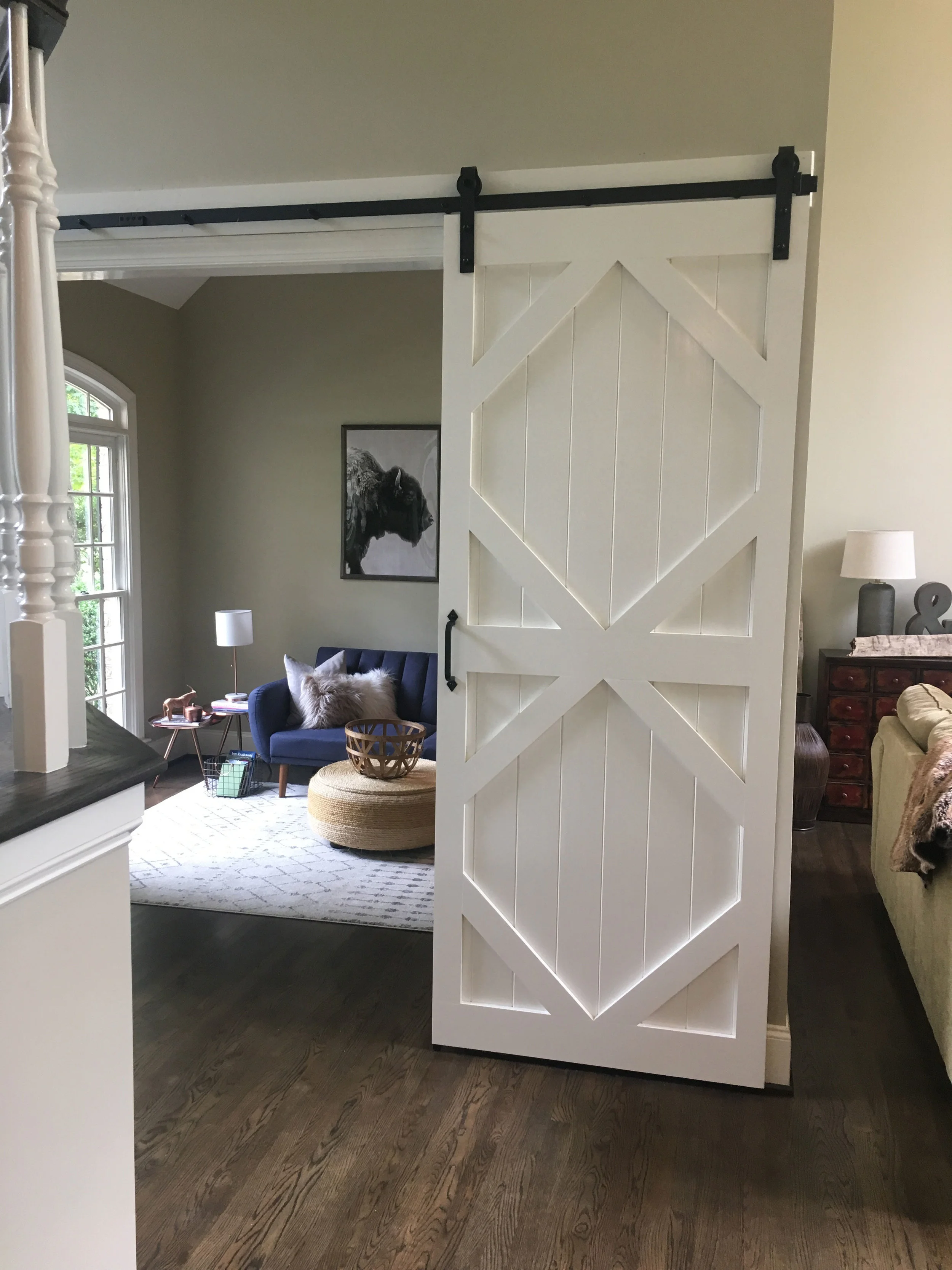Painted Barn Door