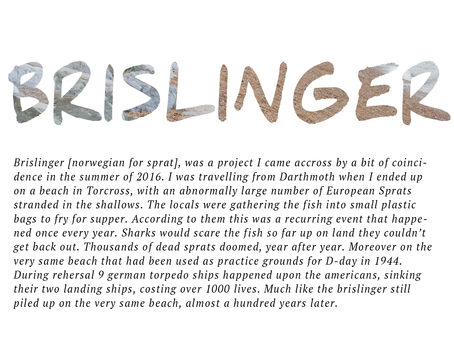 brislinger cover2.jpg