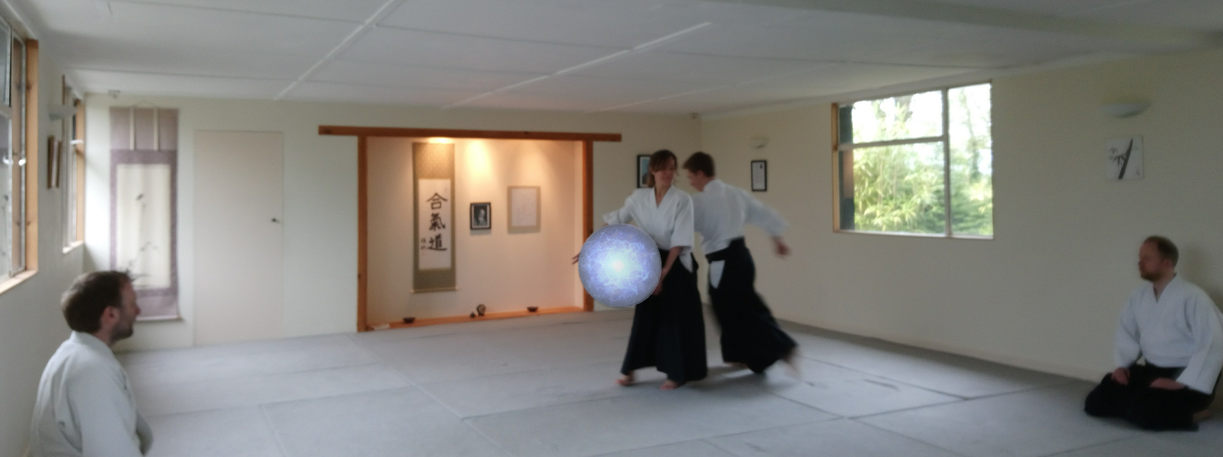 Aiki in Movement