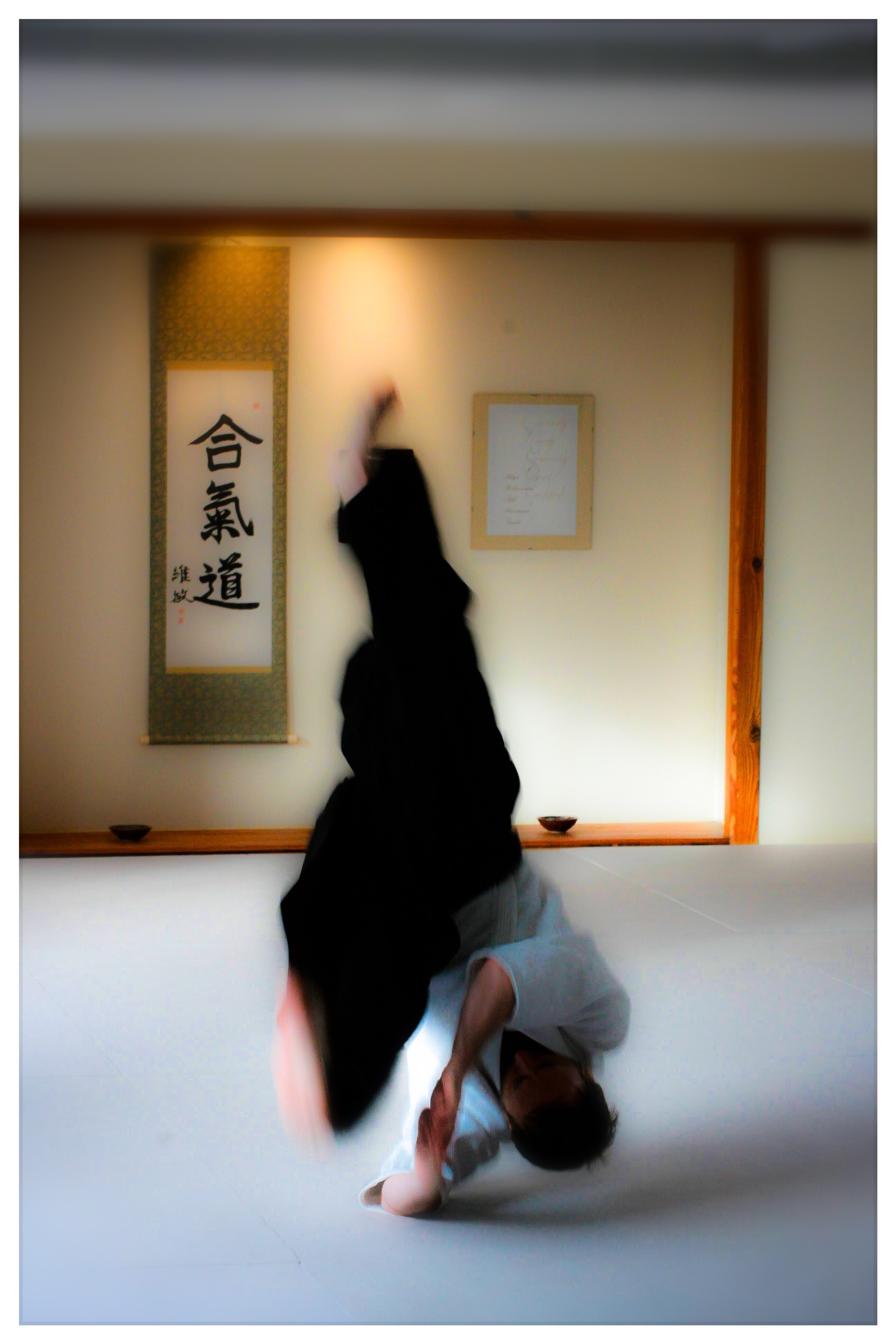 Aikido Rolling
