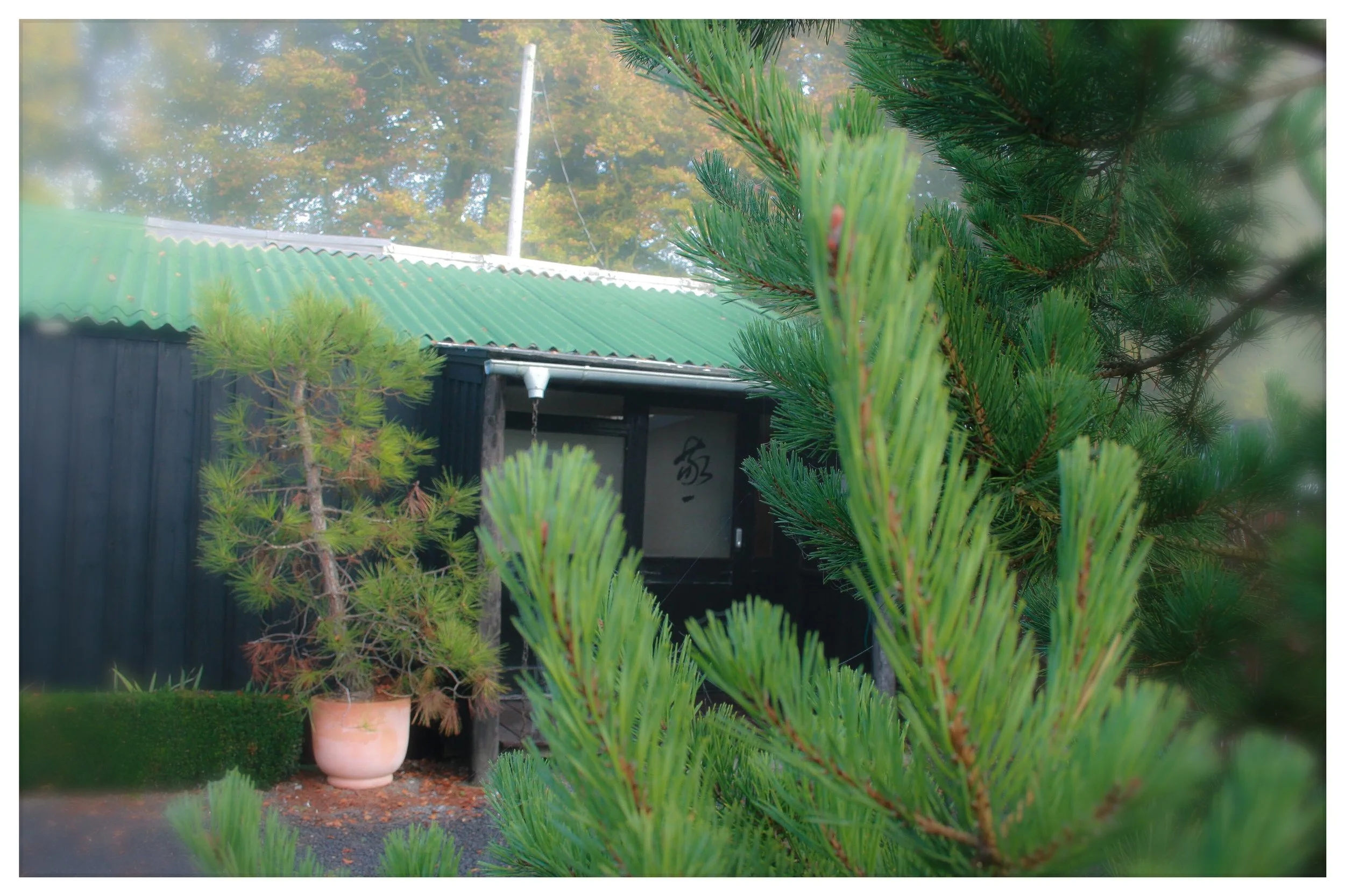Isshinkan Pines