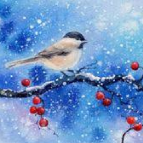 Sip and Sketch - Birds of Winter