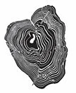 “It Sounds Like Love” by Cadine Navarro-ongoing