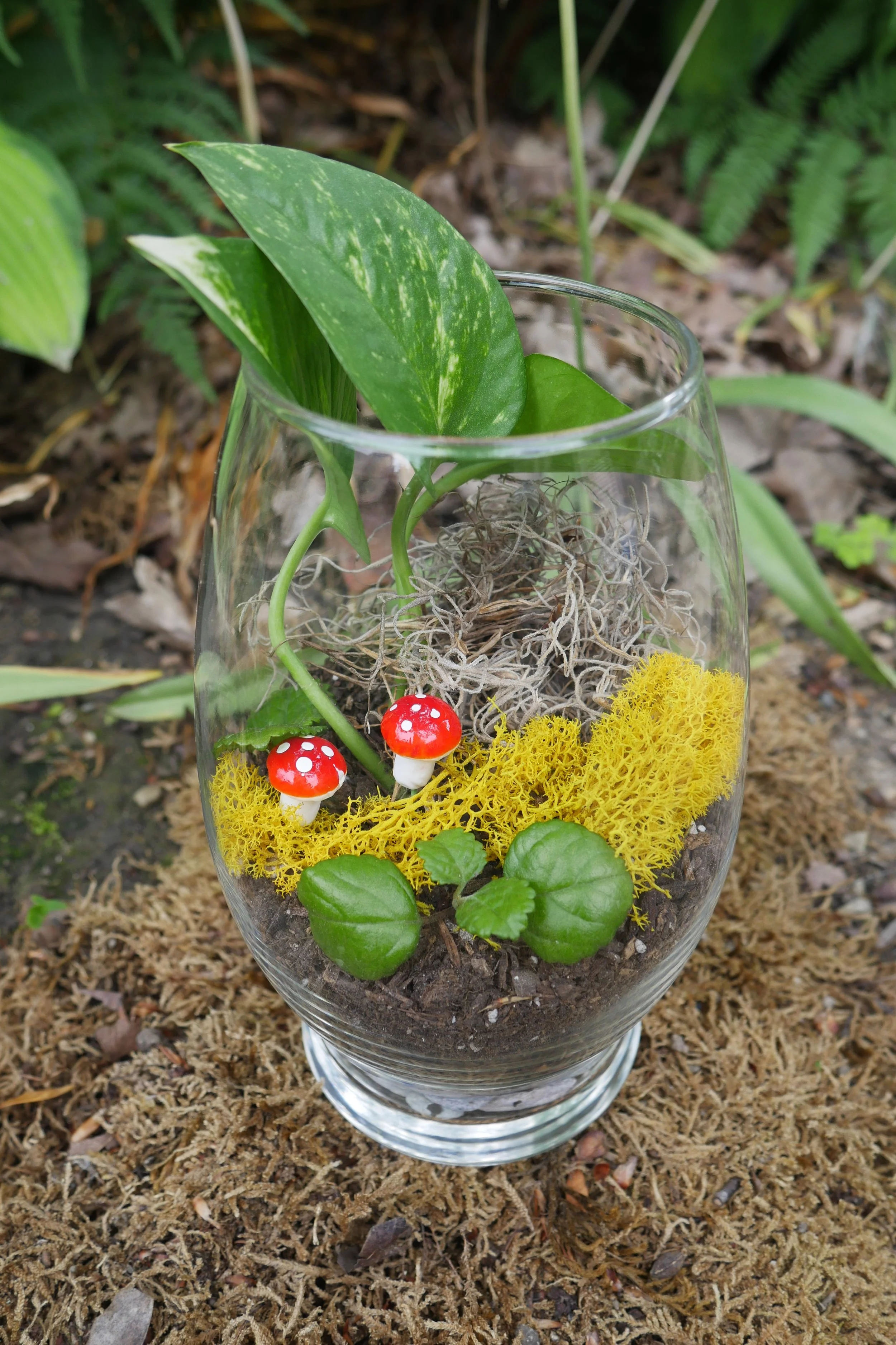 July 2 – Crafting with the Council: Terrariums