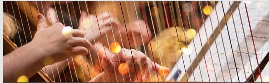 Music in the Library