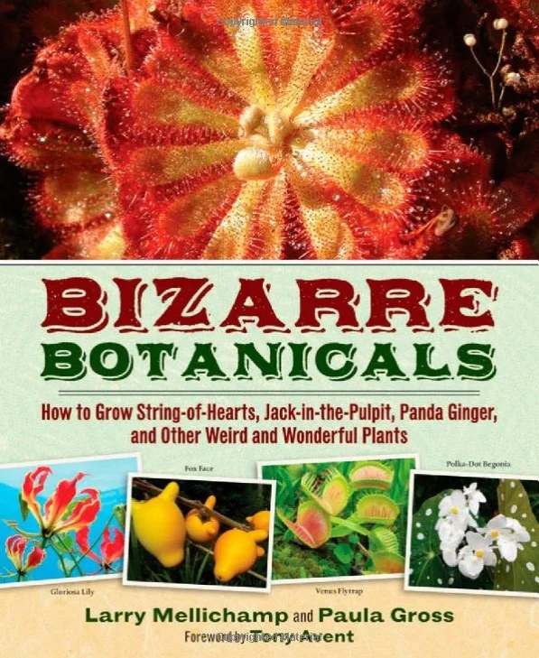 Bizarre Botanicals: An Interview with Larry Mellichamp episode artwork