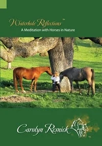 Waterhole Reflections DVD