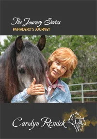 Panderos Journey DVD