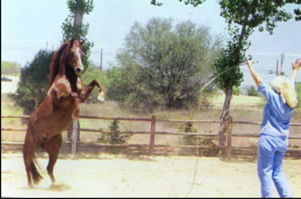 Carolyn and horse rearing.png